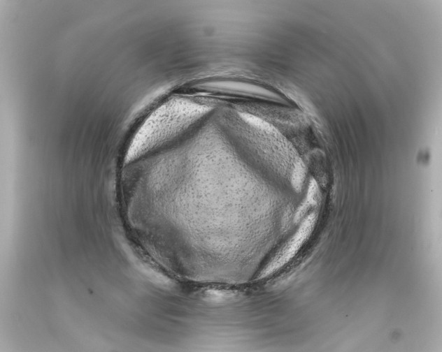 X0000093140442200710241345