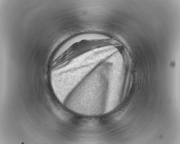 X0000093140443200710241345