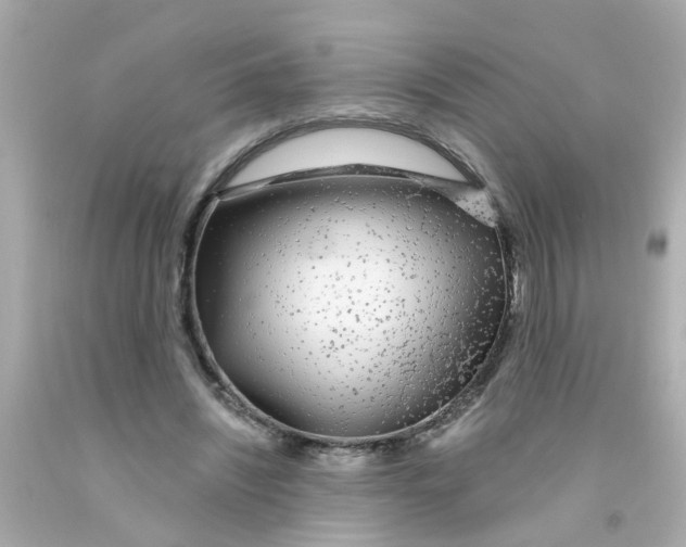 X0000093140444200710241345