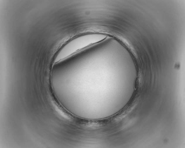 X0000093140445200710241345