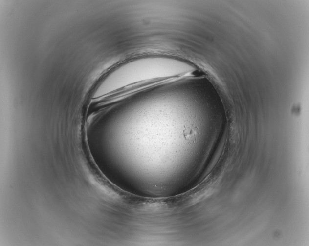 X0000093140446200710241345