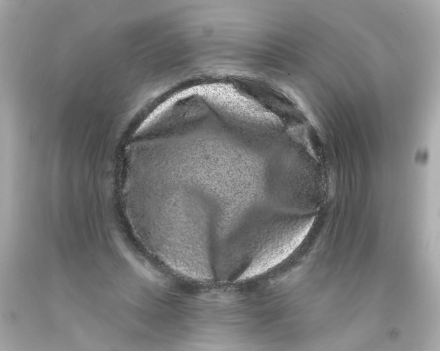 X0000093140447200710241345