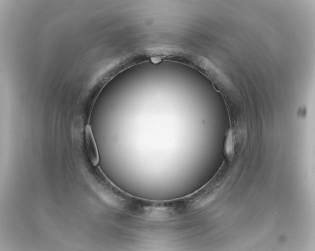 X0000093140448200710241345