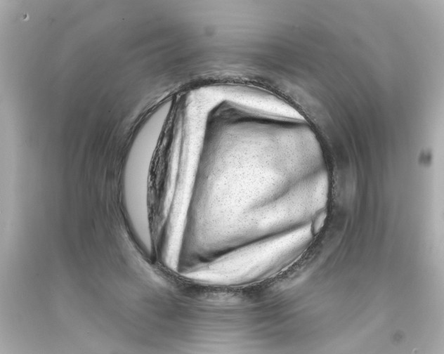 X0000093140449200710241345