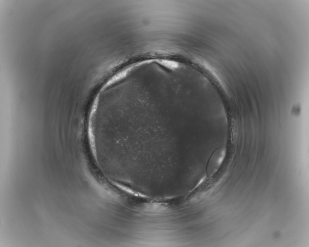 X0000093140451200710241345