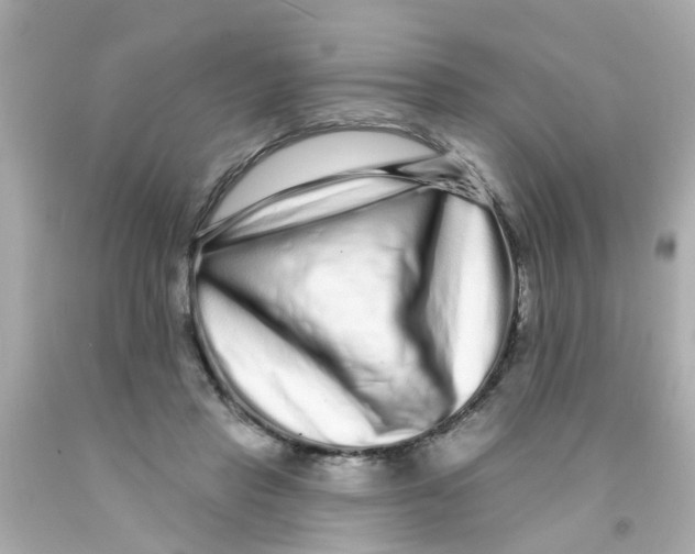 X0000093140453200710241345