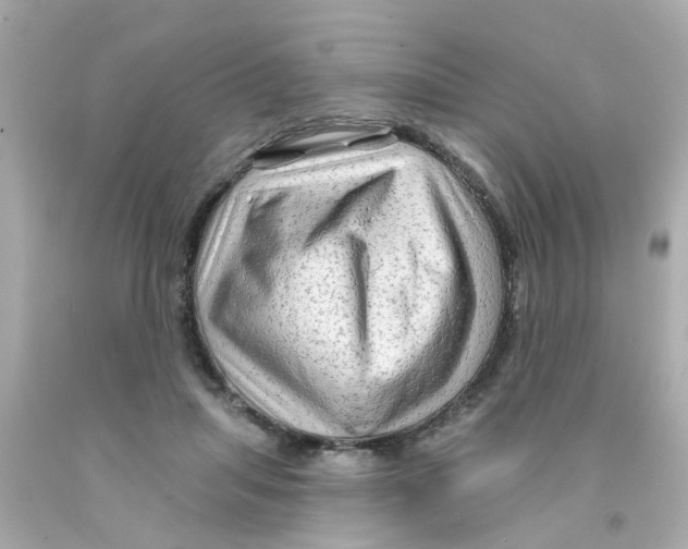 X0000093140455200710241346