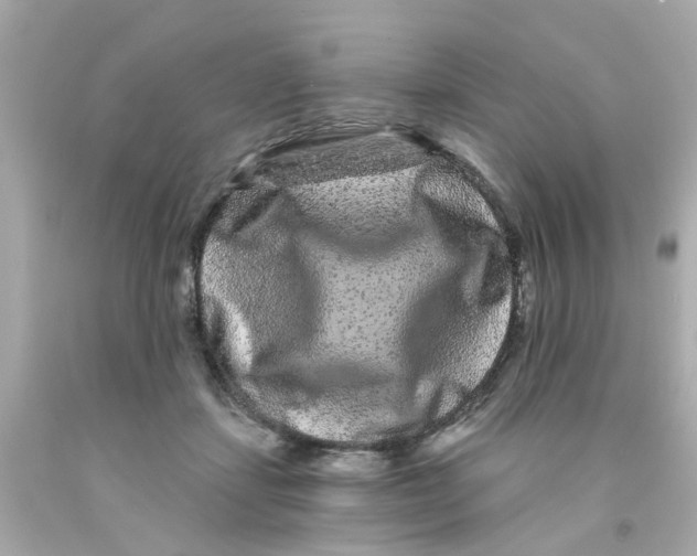 X0000093140459200710241346