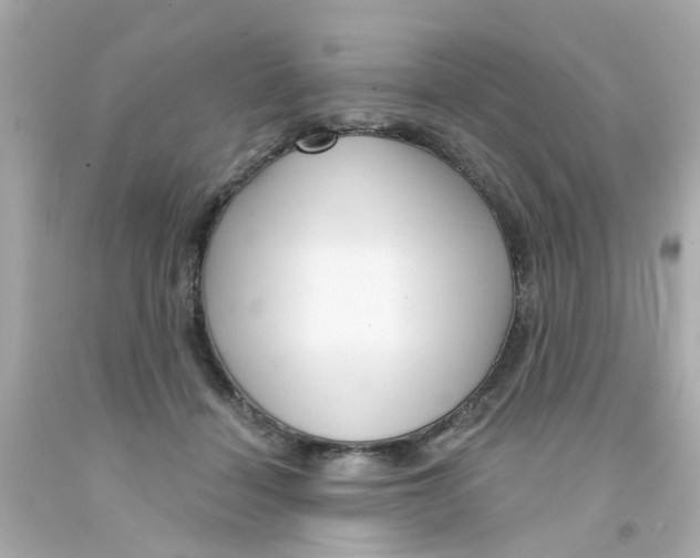 X0000093140460200710241346