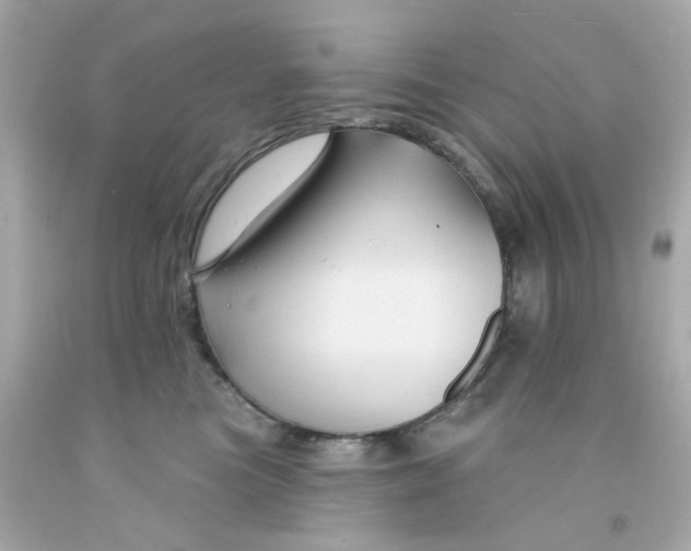 X0000093140473200710241346