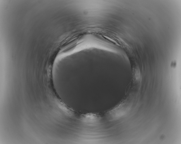 X0000093140475200710241346