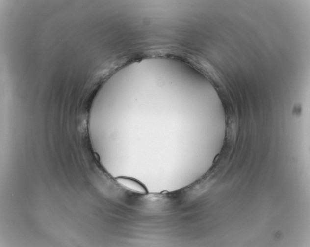 X0000093140477200710241346