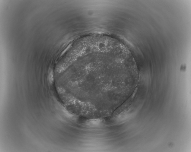 X0000093140479200710241346