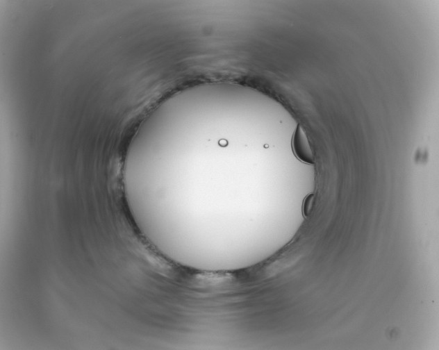 X0000093140480200710241346