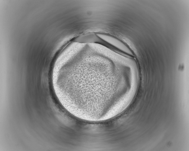 X0000093140482200710241345