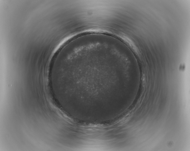 X0000093140484200710241345