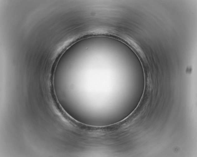 X0000093140485200710241345