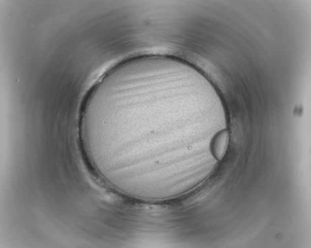 X0000093140486200710241345