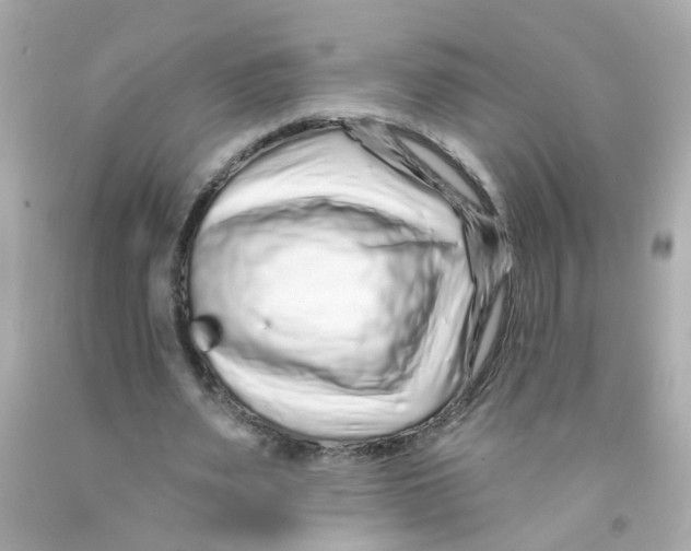 X0000093140487200710241345