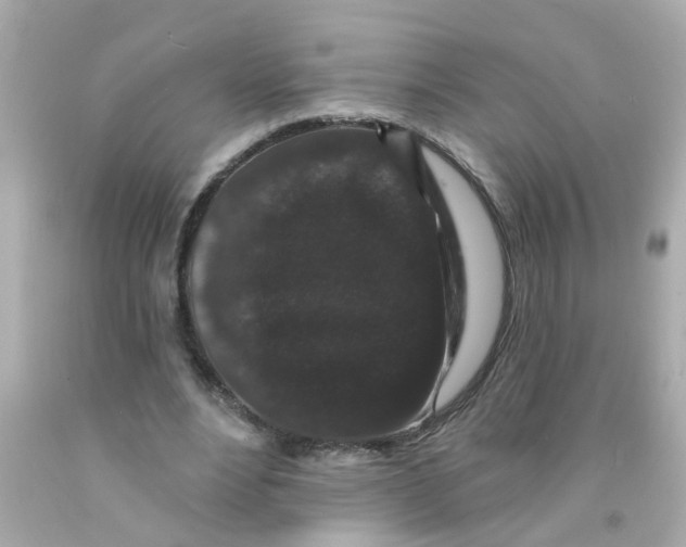 X0000093140488200710241345