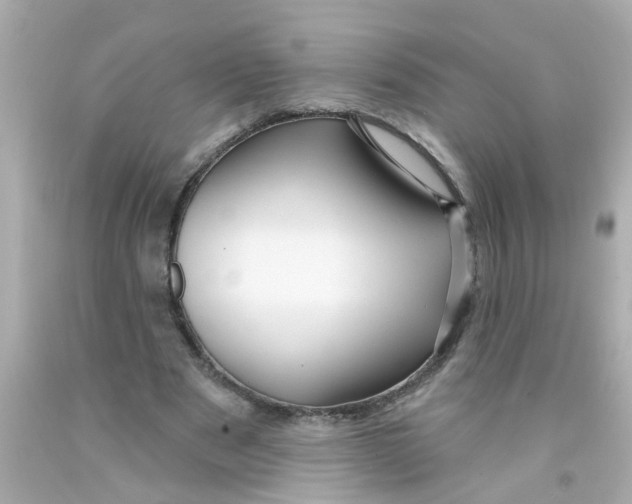 X0000093140489200710241345