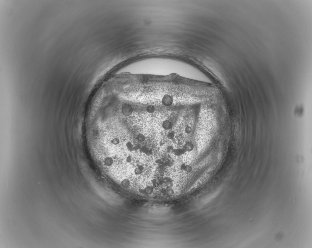 X0000093140491200710241345