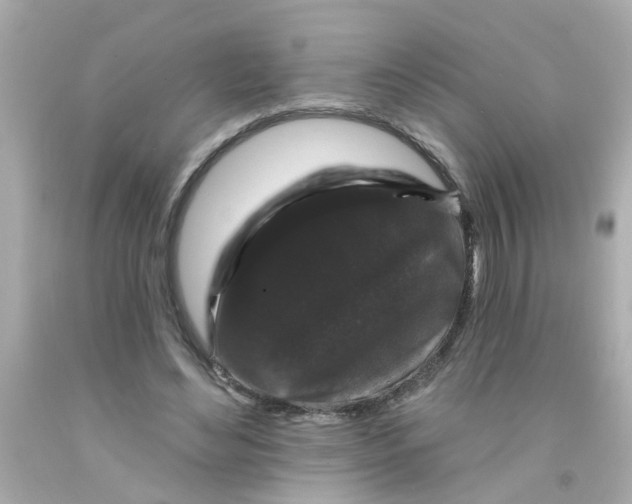 X0000093140492200710241345