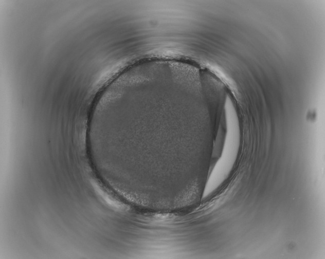 X0000093140493200710241345