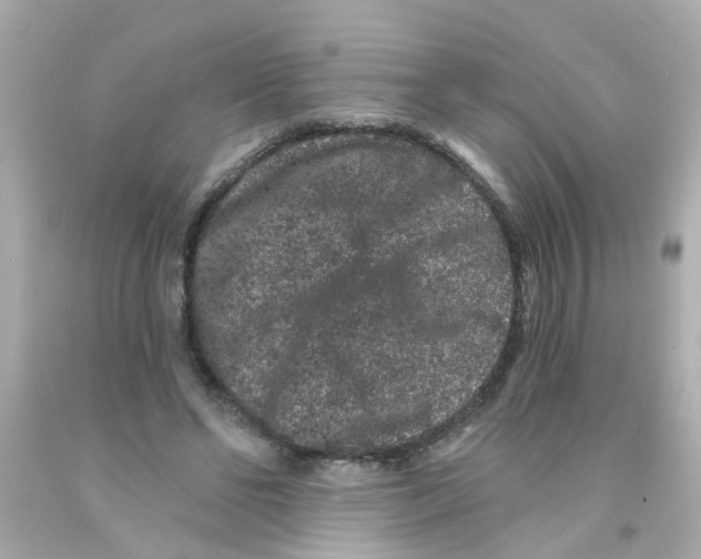 X0000093140494200710241345