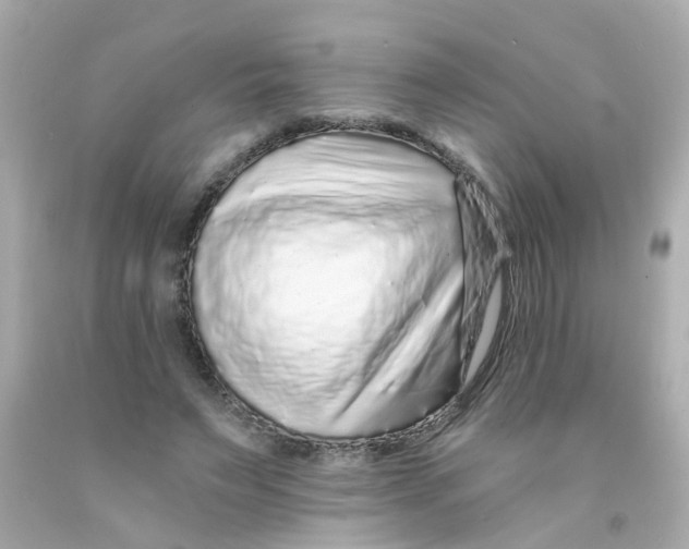 X0000093140495200710241345