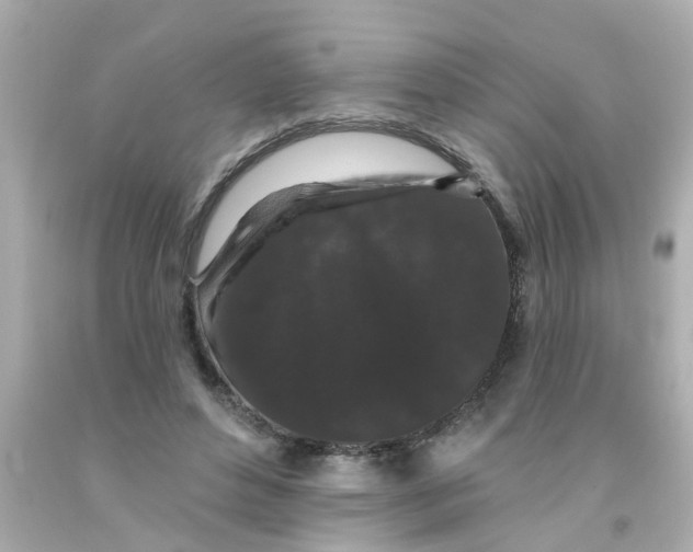 X0000093140496200710241345