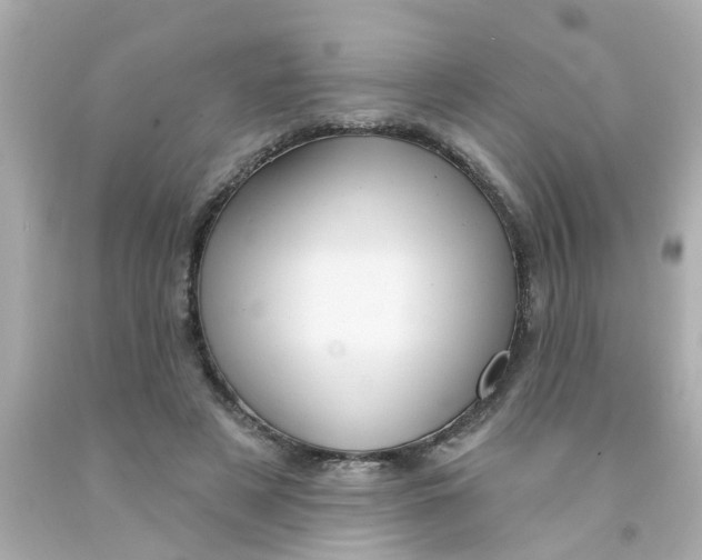 X0000093140497200710241345