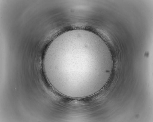 X0000093140498200710241345