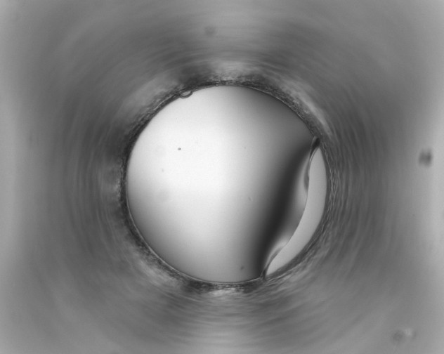 X0000093140505200710241345