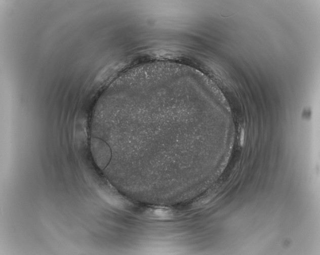 X0000093140506200710241345