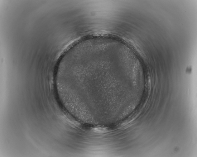 X0000093140508200710241345