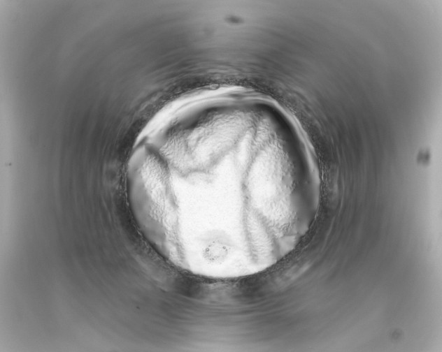 X0000093140511200710241345