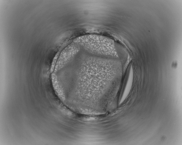 X0000093140513200710241345