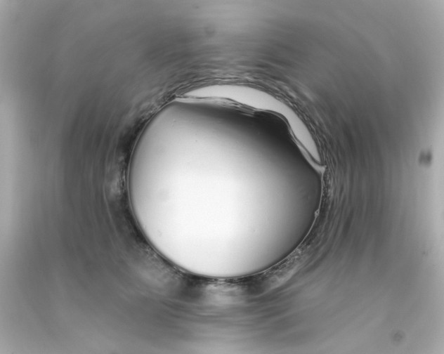 X0000093140515200710241345