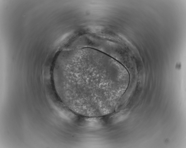 X0000093140516200710241345