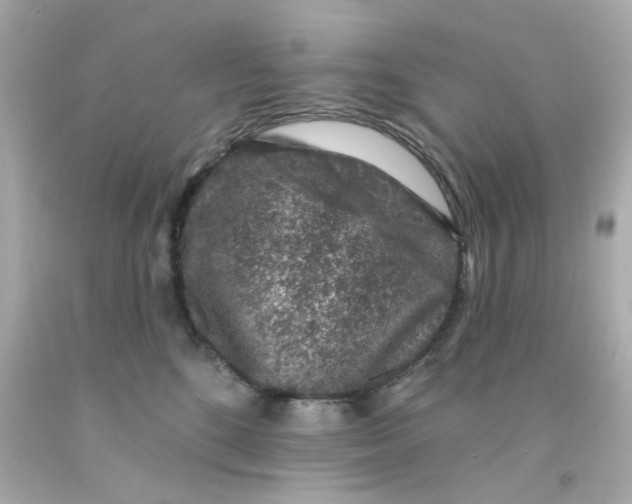 X0000093140520200710241345