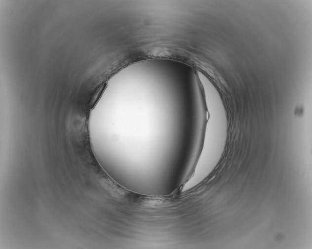 X0000093140521200710241345