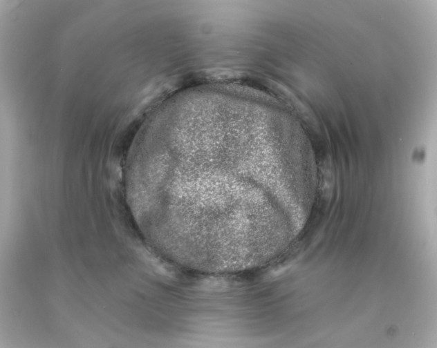 X0000093140523200710241345