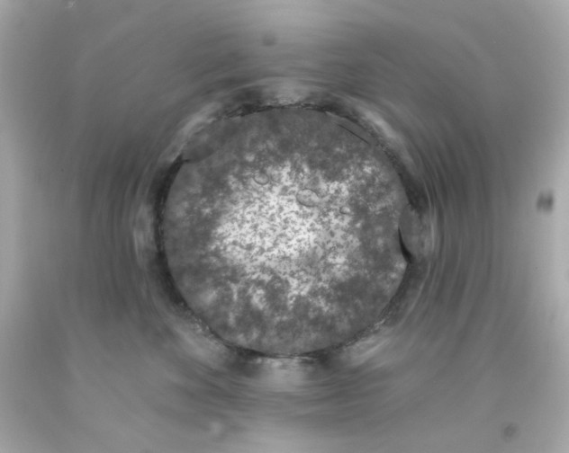 X0000093140524200710241345