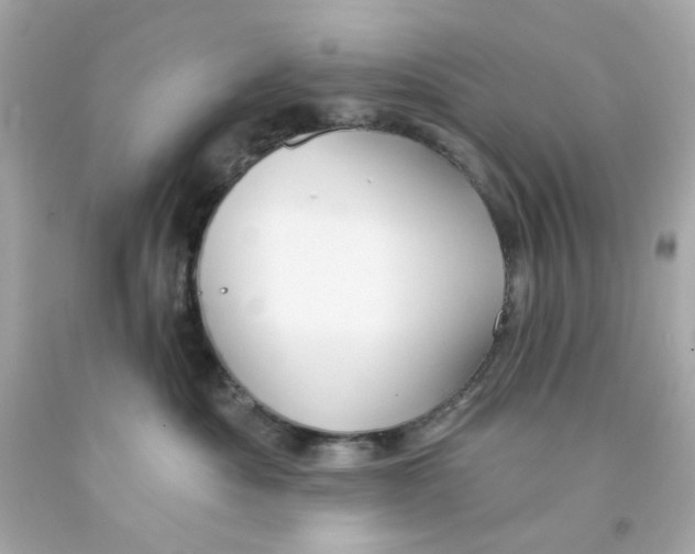 X0000093140525200710241345