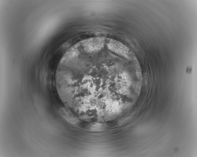 X0000093140527200710241345