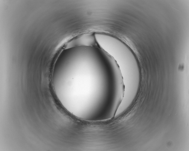 X0000093140530200710241344