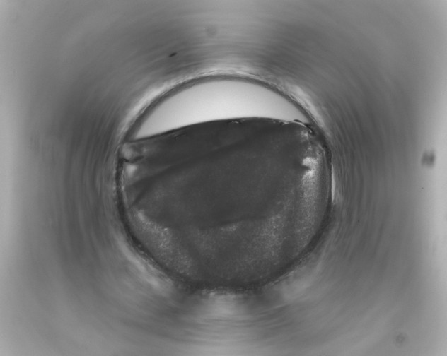 X0000093140531200710241344