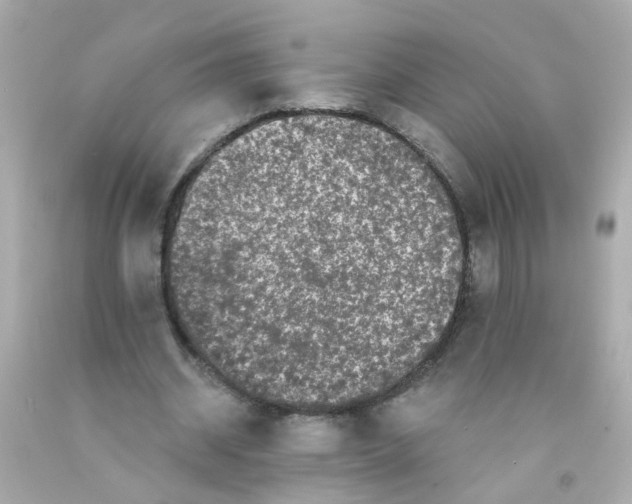 X0000093140534200710241344