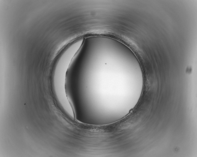 X0000093140535200710241344